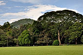 Sri Lanka Stock pictures